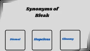 Synonyms of Bleak in Text
