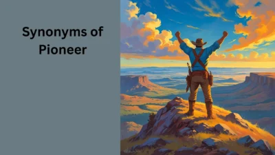 Synonyms of Pioneer