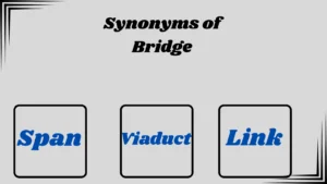 Synonyms of Bridge
