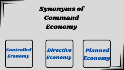 Synonyms of Command Economy