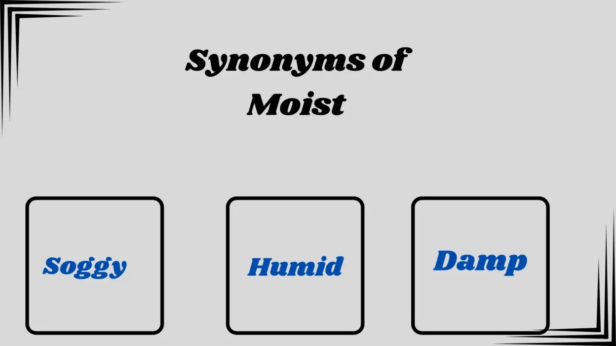 Synonyms of Moist