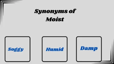 Synonyms of Moist