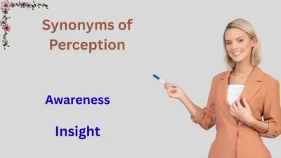 Synonyms of Perception