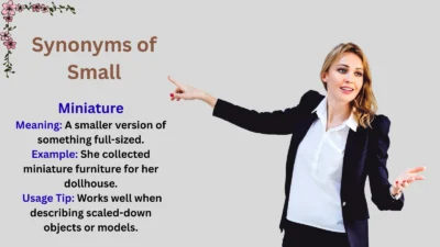 Synonyms of Small by a Teacher