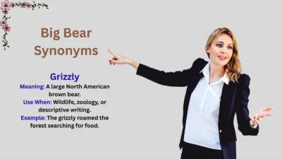 Big Bear Synonyms Explained