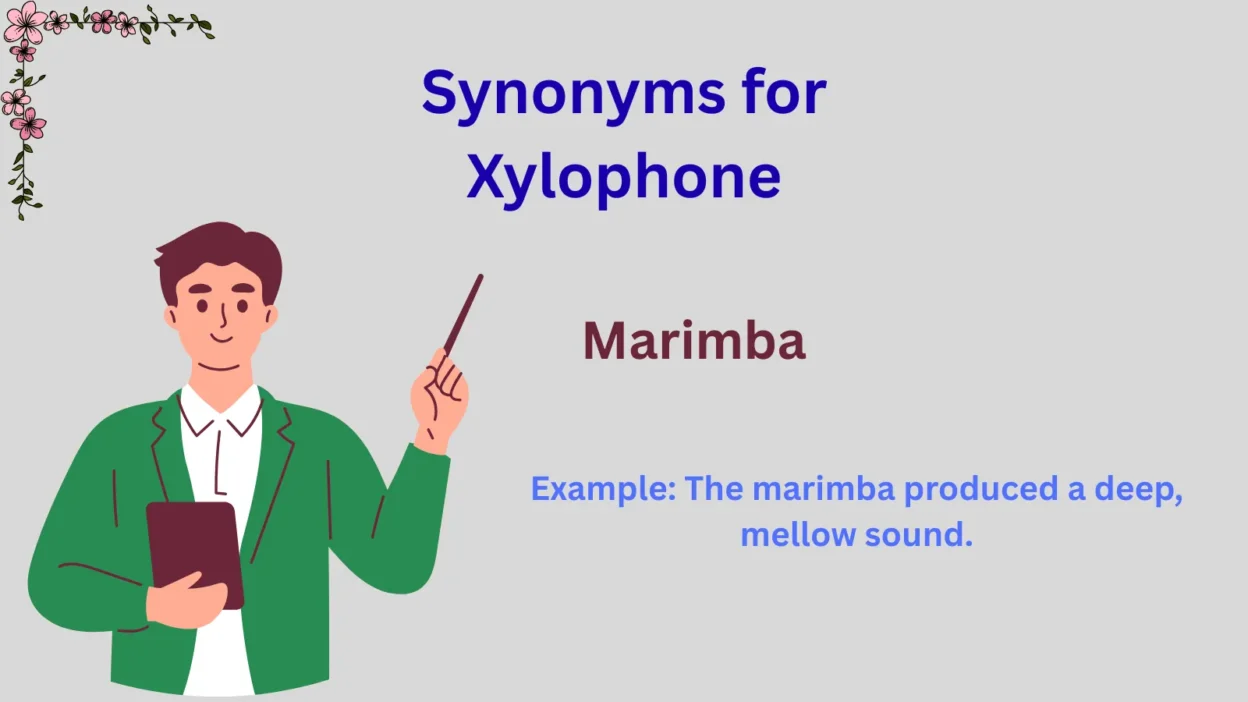 Synonyms for Xylophone Explained
