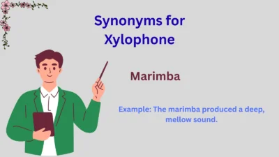 Synonyms for Xylophone Explained