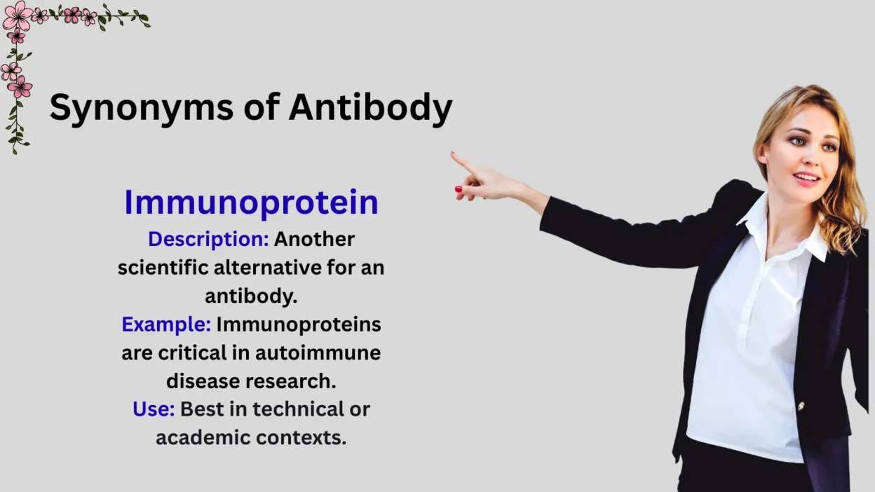Synonyms of Antibody Explained
