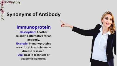 Synonyms of Antibody Explained