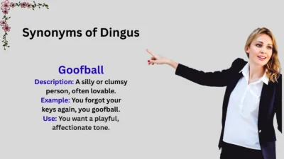 Synonyms of Dingus Explained