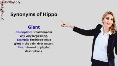 Synonyms of Hippo Explained