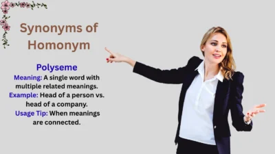 Synonyms of Homonym Explained