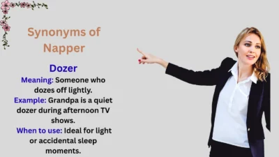 Synonyms of Napper Explained