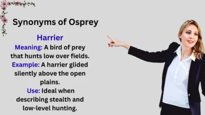 Synonyms of Osprey Explained