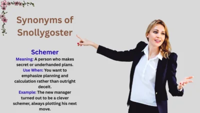 Synonyms of Snollygoster Explained