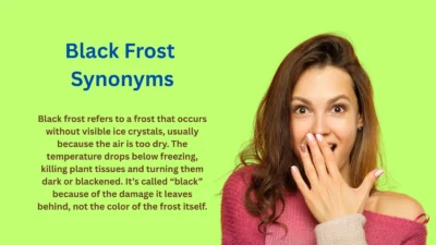 Black Frost Synonyms You Can’t Afford To Miss